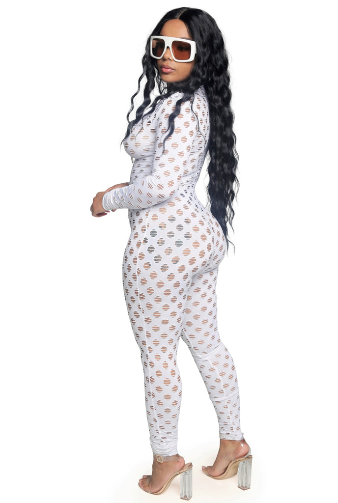 Jumpsuit. Featuring a see through design. Long sleeve, zipper front.